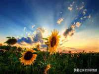 南京斯派尔文化传媒有限公司