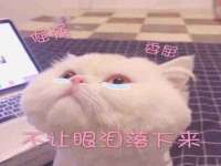 南京斯派尔文化传媒有限公司