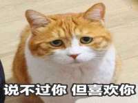 南京斯派尔文化传媒有限公司