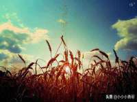 南京斯派尔文化传媒有限公司