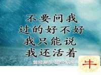 南京斯派尔文化传媒有限公司