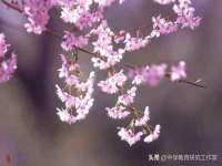 南京斯派尔文化传媒有限公司