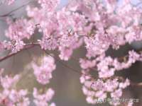 南京斯派尔文化传媒有限公司
