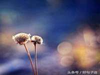 南京斯派尔文化传媒有限公司