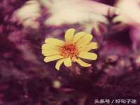 南京斯派尔文化传媒有限公司