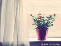 南京斯派尔文化传媒有限公司