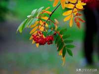 南京斯派尔文化传媒有限公司