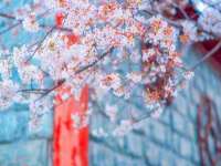 南京斯派尔文化传媒有限公司