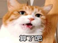 南京斯派尔文化传媒有限公司
