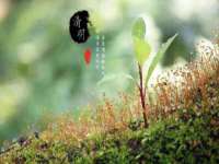 南京斯派尔文化传媒有限公司