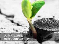 南京斯派尔文化传媒有限公司