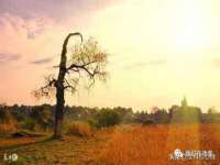 南京斯派尔文化传媒有限公司