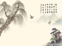 南京斯派尔文化传媒有限公司