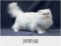 南京斯派尔文化传媒有限公司