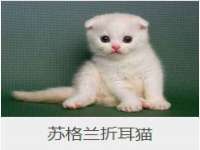南京斯派尔文化传媒有限公司