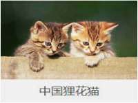 南京斯派尔文化传媒有限公司
