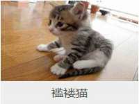 南京斯派尔文化传媒有限公司