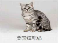 南京斯派尔文化传媒有限公司