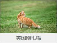 南京斯派尔文化传媒有限公司