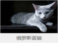南京斯派尔文化传媒有限公司