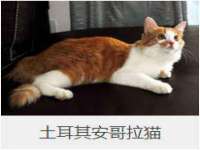 南京斯派尔文化传媒有限公司