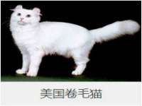 南京斯派尔文化传媒有限公司