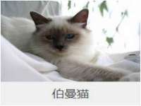 南京斯派尔文化传媒有限公司