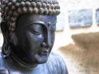 南京斯派尔文化传媒有限公司