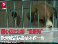 南京斯派尔文化传媒有限公司