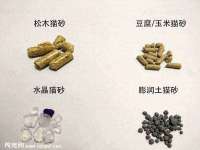 南京斯派尔文化传媒有限公司
