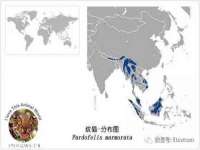 南京斯派尔文化传媒有限公司
