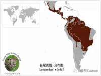 南京斯派尔文化传媒有限公司