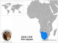 南京斯派尔文化传媒有限公司