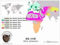 南京斯派尔文化传媒有限公司