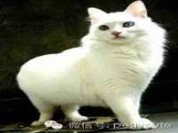 南京斯派尔文化传媒有限公司
