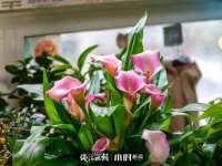 南京斯派尔文化传媒有限公司