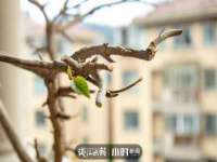 南京斯派尔文化传媒有限公司