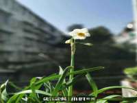 南京斯派尔文化传媒有限公司