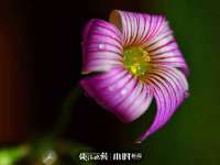 南京斯派尔文化传媒有限公司