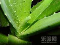 南京斯派尔文化传媒有限公司