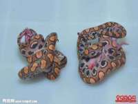 南京斯派尔文化传媒有限公司
