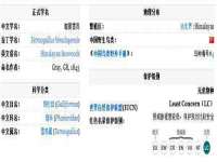 南京斯派尔文化传媒有限公司