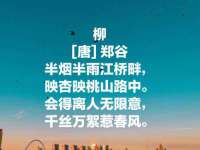 南京斯派尔文化传媒有限公司