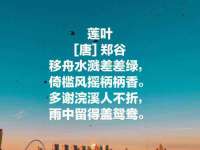 南京斯派尔文化传媒有限公司