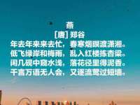 南京斯派尔文化传媒有限公司