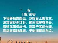 南京斯派尔文化传媒有限公司