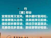 南京斯派尔文化传媒有限公司