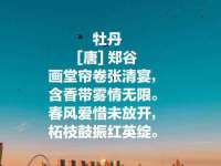 南京斯派尔文化传媒有限公司