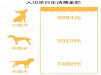 南京斯派尔文化传媒有限公司