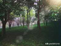南京斯派尔文化传媒有限公司
